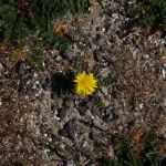 JYR VIII - Foto's door Kimmy Visser